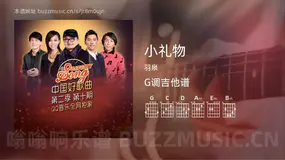 小礼物吉他谱G调 羽泉 简单版