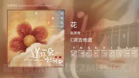 花吉他谱C调 赵英俊 简单版