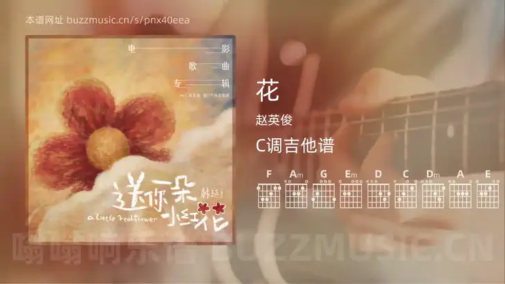 花吉他谱C调 赵英俊 简单版