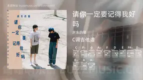 请你一定要记得我好吗吉他谱C调 房东的猫 简单版