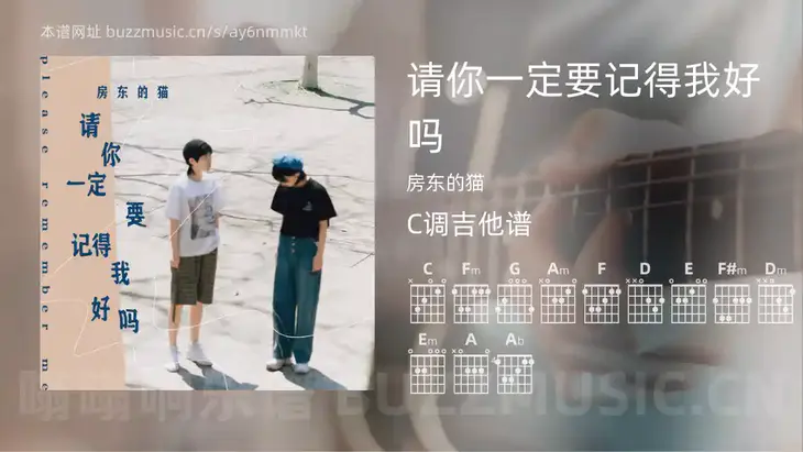 请你一定要记得我好吗吉他谱C调 房东的猫 简单版