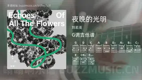 夜晚的光明吉他谱G调 刘若英 简单版