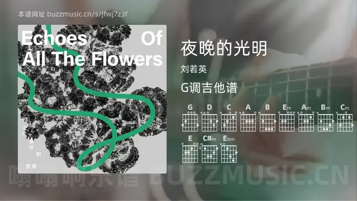 夜晚的光明吉他谱G调 刘若英 简单版