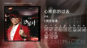 心疼你的过去吉他谱C调 许嵩 简单版