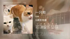 一只狗吉他谱G调 花粥 简单版