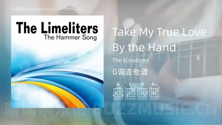 Take My True Love By the Hand吉他谱G调 The Limeliters 简单版