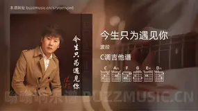 今生只为遇见你吉他谱C调 波拉 简单版