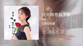 片片相思赋予谁吉他谱C调 晓依 简单版