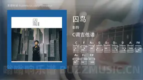囚鸟吉他谱C调 彭羚 简单版
