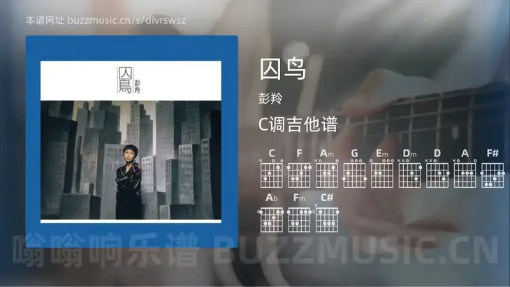 囚鸟吉他谱C调 彭羚 简单版