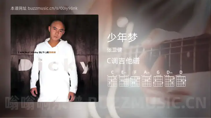 少年梦吉他谱C调 张卫健 简单版