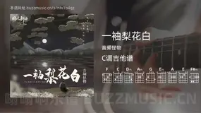 一袖梨花白吉他谱C调 音频怪物 简单版