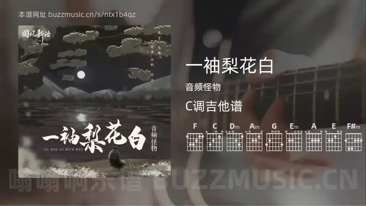 一袖梨花白吉他谱C调 音频怪物 简单版