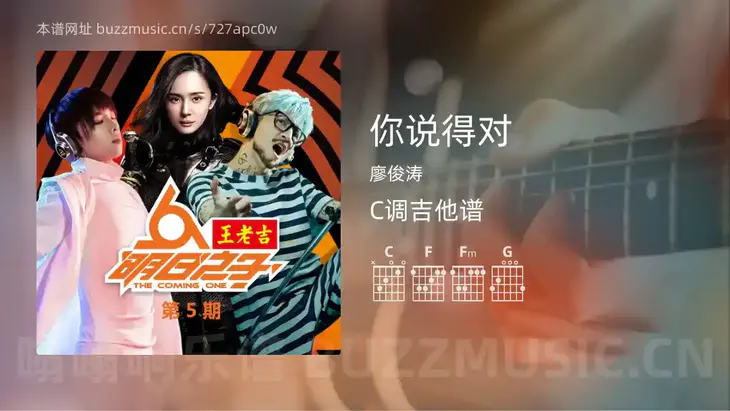 你说得对吉他谱C调 廖俊涛 简单版
