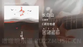 长白山吉他谱C调 王啸坤 简单版
