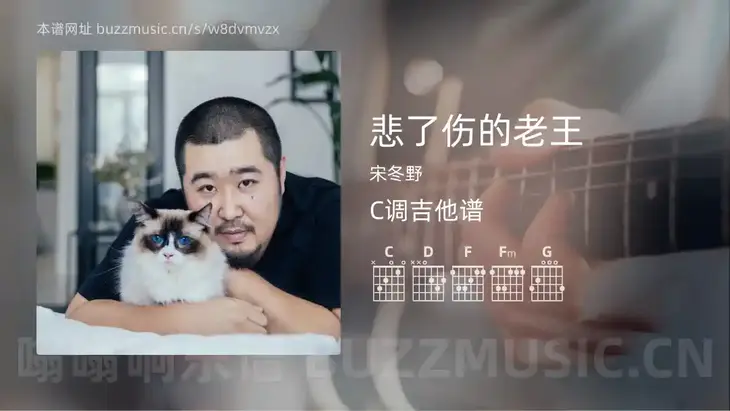 悲了伤的老王吉他谱C调 宋冬野 简单版