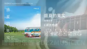 盛夏的果实吉他谱C调 半吨兄弟 简单版