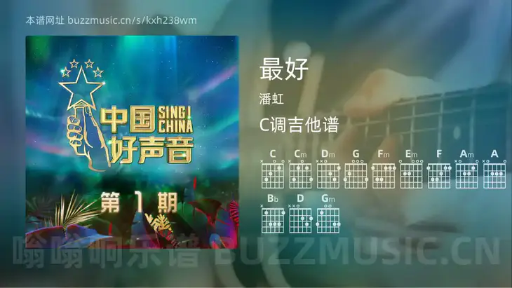 最好吉他谱C调 潘虹 简单版