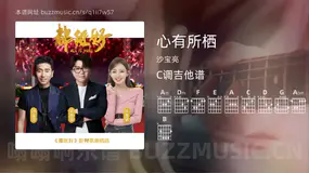 心有所栖吉他谱C调 沙宝亮 简单版