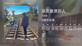深夜崩溃的人吉他谱G调 王佳杨 简单版