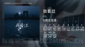 我看过吉他谱G调 cici_ 简单版