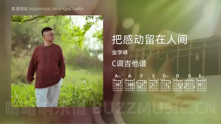 把感动留在人间吉他谱C调 金学峰 简单版