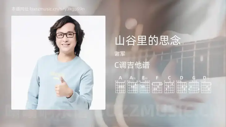 山谷里的思念吉他谱C调 谢军 简单版