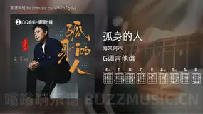 孤身的人吉他谱G调 海来阿木 简单版