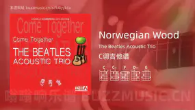 Norwegian Wood吉他谱C调 The Beatles Acoustic Trio 简单版