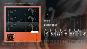 尘吉他谱C调 薛之谦 简单版
