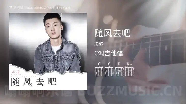 随风去吧吉他谱C调 海超 简单版