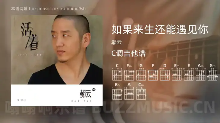 如果来生还能遇见你吉他谱C调 郝云 简单版