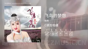 飞鸟的梦想吉他谱C调 格格 简单版