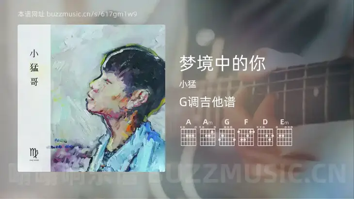 梦境中的你吉他谱G调 小猛 简单版