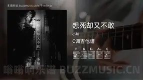 想死却又不敢吉他谱C调 小灿 简单版