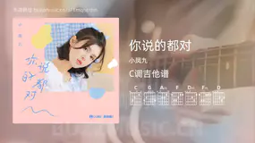 你说的都对吉他谱C调 小凤九 简单版