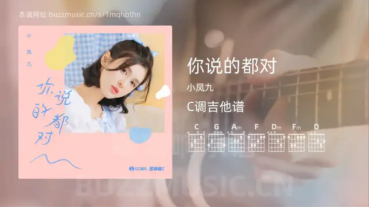 你说的都对吉他谱C调 小凤九 简单版