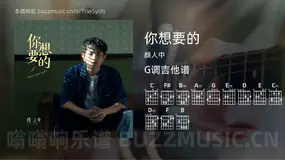 你想要的吉他谱G调 颜人中 简单版
