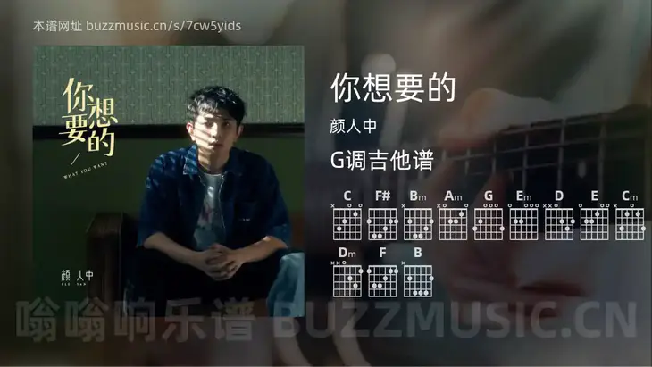 你想要的吉他谱G调 颜人中 简单版