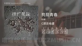 狗屁青春吉他谱C调 朴树 简单版
