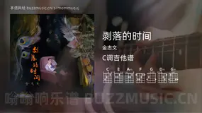 剥落的时间吉他谱C调 金志文 简单版