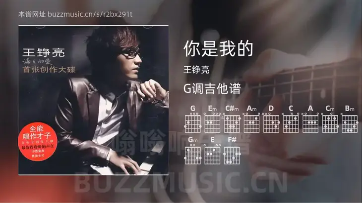你是我的 王铮亮 吉他谱G调简单版