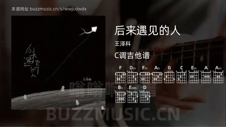 后来遇见的人 王泽科 吉他谱C调简单版
