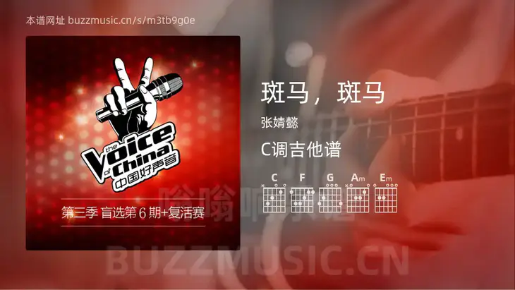 斑马，斑马 张婧懿 吉他谱C调简单版