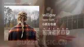 willow Taylor Swift 吉他谱G调简单版