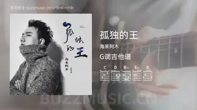孤独的王 海来阿木 吉他谱G调简单版