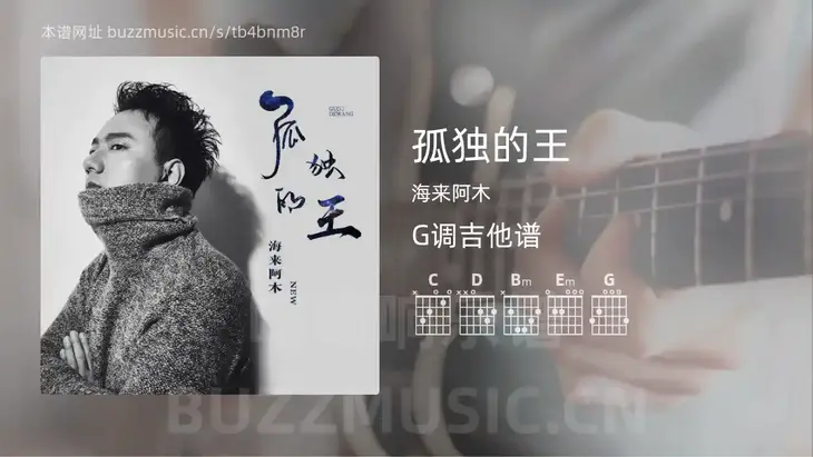 孤独的王 海来阿木 吉他谱G调简单版