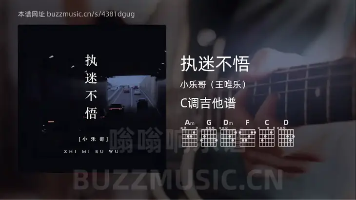 执迷不悟 小乐哥(王唯乐) 吉他谱C调简单版