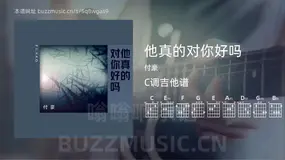 他真的对你好吗 付豪 吉他谱C调简单版