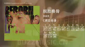 脱胎换骨 李荣浩 吉他谱C调简单版